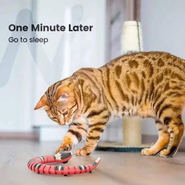 Smart Sensing Snake Cat Toys Interactive, Electronic Snake Induction Toy Kitten Puppy Prank Snake Toy Pet Cat Accessories