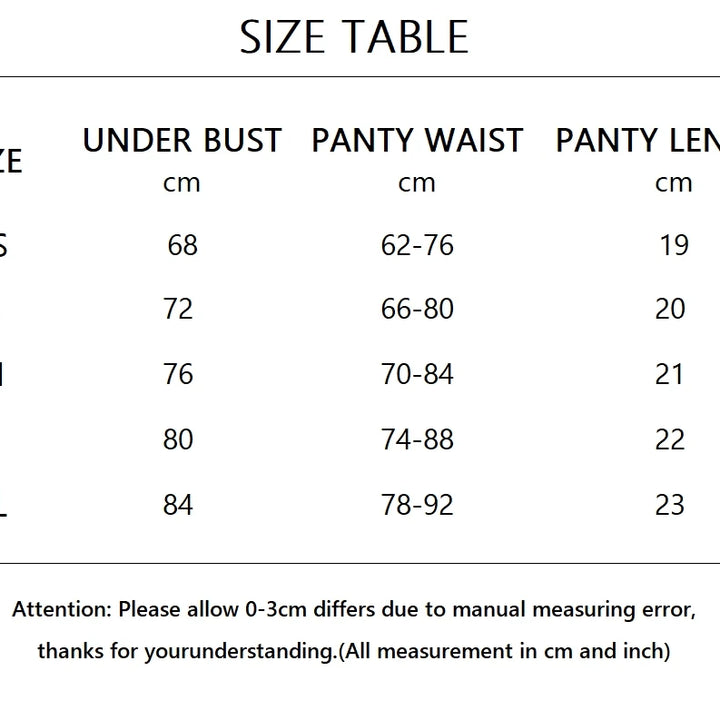 Yimunancy Heart Embroidery Lingerie Set Women 2-Piece Transparent Bow Bra + Brief Underwear Set Erotic Intimates