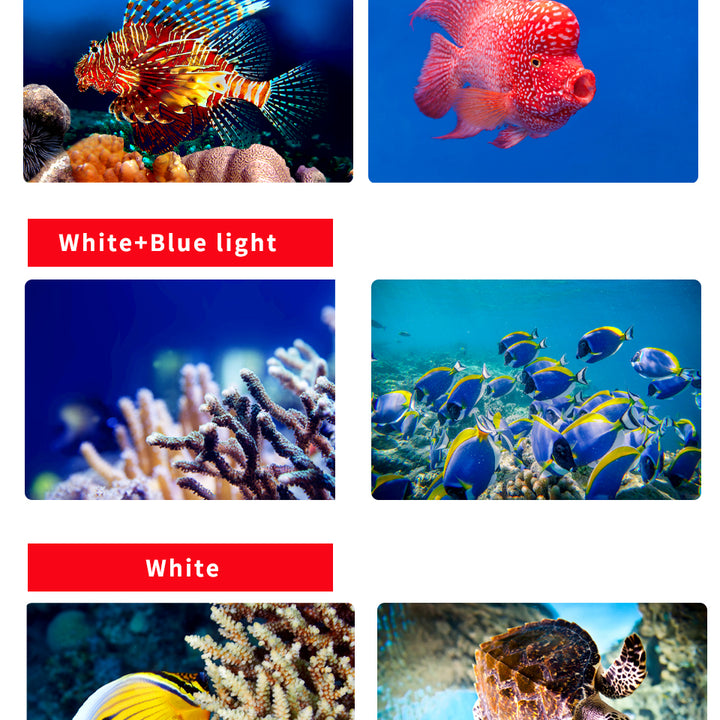 Professional Underwater 27 LED Photography Light Highlight Lamp 20000Lumens Diving Flashlight 100M Waterproof Video Camera torch