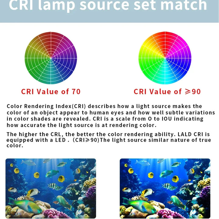 Professional Underwater Photography Light Highlight 20000Lumens Diving Flashlight Underwater 100M Waterproof Video Fill Light