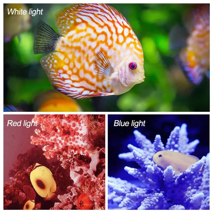 10000Lumens 27 LED Diving Flashlight Professional Underwater Photography Light Highlight Lamp 100M Waterproof Video Camera Torch