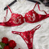 Floral Embroidery Sexy Lingerie Set Women Transparent Bralette Underwire Push Up Bra Panty 2 Piece Set